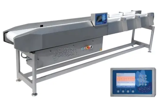 Linie compacta sortare peste - utilaj industrial procesare peste