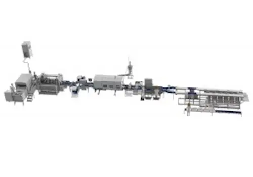 Linie completa procesare pentru somon si pastrav de mare - utilaj industrial procesare peste