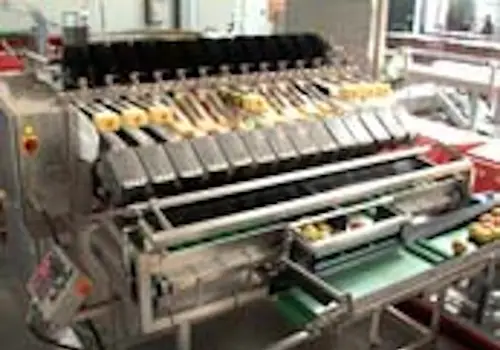 Linie de ambalare in saci de plastic, pentru legume si fructe - utilaj sortare clasificare