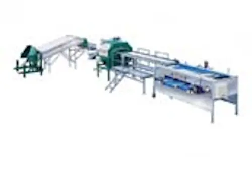 Linie procesare ceapa, tip A1, productivitate cca.5 tone pe ora-1 - utilaj sortare clasificare