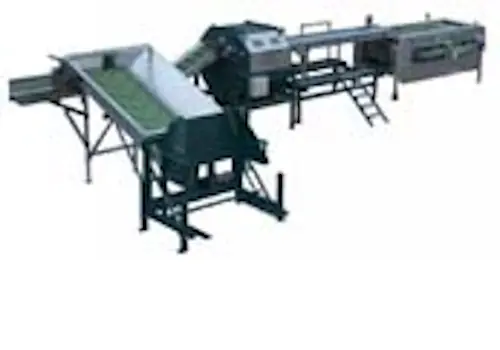 Linie procesare ceapa, tip A1, productivitate cca.5 tone pe ora-2 - utilaj sortare clasificare