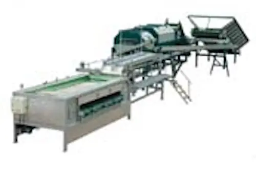 Linie procesare ceapa, tip A3, productivitate cca.15 tone pe ora-1 - utilaj sortare clasificare