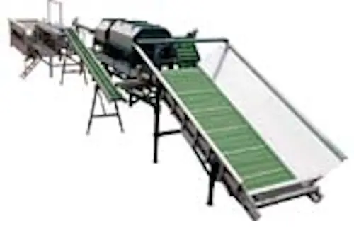 Linie procesare ceapa, tip A3, productivitate cca.15 tone pe ora-2 - utilaj sortare clasificare