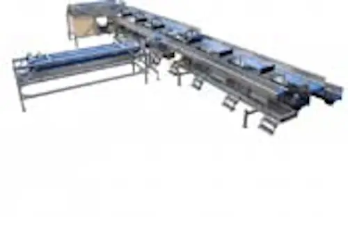 Linie industriala pentru procesare varza, model C6, varianta 1 - utilaj sortare clasificare