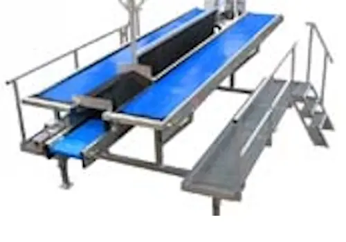 Masa de inspectie vizuala pentru legume si fructe dupa sortare, model 1 - utilaj sortare clasificare