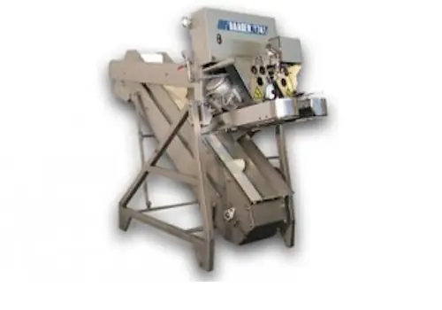 Masina de decapitat pentru pesti 30-70 cm, max 40 pesti pe minut - utilaj industrial procesare peste