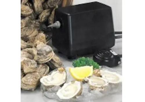 Masina pentru desfacut scoici - utilaj industrial procesare peste